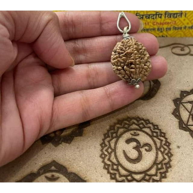 Astro Cart Do Mukhi Rudraksa Pendant 2 Mukhi Rudraksha Nepal Bead Two