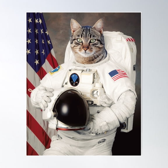 Astro Cat Poster Wall Art, Modern Wall Decor For Living Room Bedroom, 24x36 UNFRAMED