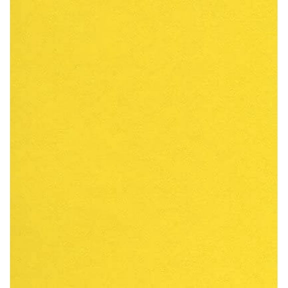 Astrobright Labels - Solar Yellow Adhesive, Permanent, 8.5 X 11, 100 Sheets Per Box