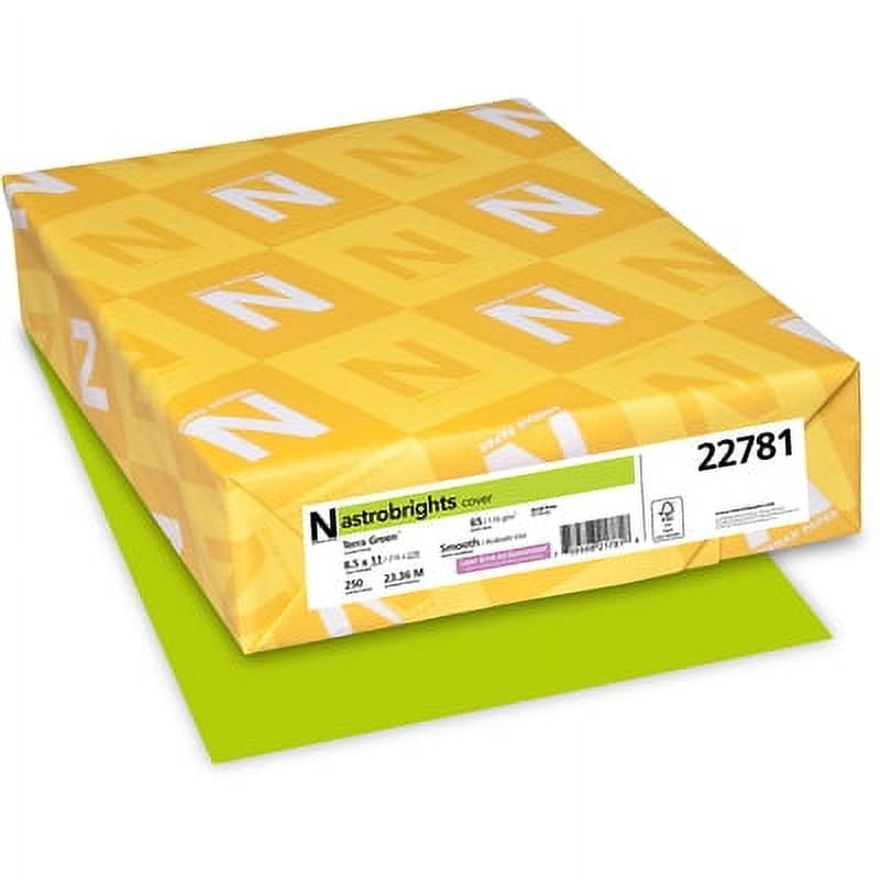 Astrobrights Color Cardstock, 65 lb Cover Weight, 8.5 x 11, Terra Green, 250/Pack (22781)