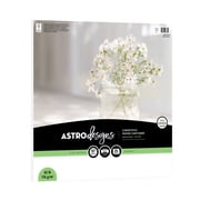 Astrodesigns Cardstock, Bright White, 97 Brightness, 12" x 12", 65 lb./176 gsm, 25 Sheets 98682