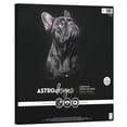 thumbnail image 1 of Neenah Astrodesigns 65lb Cardstock Pack 12"X12" 60/Pkg-Very Black, 1 of 6