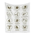 thumbnail image 1 of Astrology Soft Flannel Fleece Blanket, Classic Zodiac Chart Astrologicy Signs Stiylish Constellation Art Lllustration, Cozy Plush for Indoor and Outdoor Use, 60" x 80", White Sepia, by Ambesonne, 1 of 5