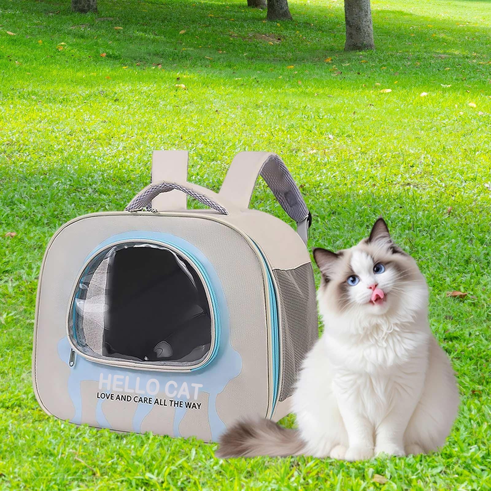 Astronaut Inspired Pet Carrier Backpack - Transparent Window for ... - Design-Ing Safe Cat Carriers With Ventilation