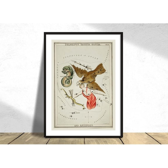 Astronomical Chart Delphinus Sagitta Aquila Antinous Sidney Hall Constellation Star Map Astrology, Unframed Paper Poster 8x10in