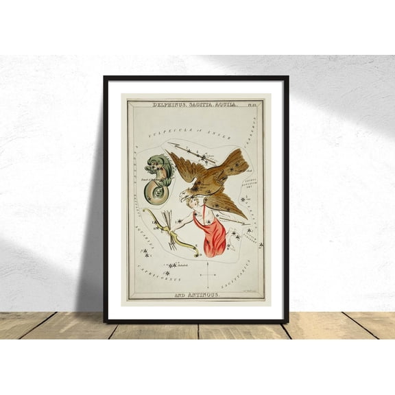 Astronomical Chart Delphinus Sagitta Aquila Antinous Sidney Hall Constellation Star Map Astrology Unframed Paper Print