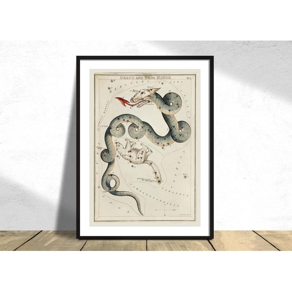 Astronomical Chart Draco And Ursa Minor Sidney Hall Vintage Art Constellation Star Map, Unframed Paper Poster 8x10in