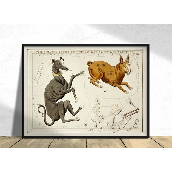 Astronomical Chart Illustration Canis Major Lepus Columba Noachi Cela Sculptoris Sidney Hall Constellation Star Map, Stretched Canvas 8x10in