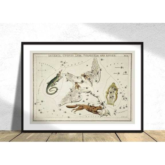 Astronomical Chart Illustration Lacerta Cygnus Lyra Vulpecula Sidney Hall Astrology Constellation Star Map, Stretched Canvas 8x10in