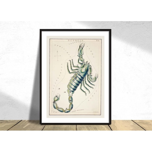 Astronomical Chart Illustration Scorpio Vintage Art Constellation Star Map Astrology Zodiac Unframed Paper Print