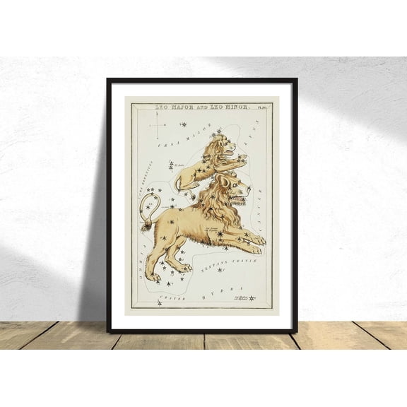 Astronomical Chart Leo Major And Leo Minor Sidney Hall Vintage Art Constellation Star Map, Unframed Paper Poster 8x10in