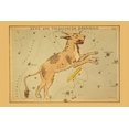 thumbnail image 1 of Astronomical chart showing a lynx and a telescope forming the constellations. Poster Print by Aspin Jehosaphat (18 x 24), 1 of 1