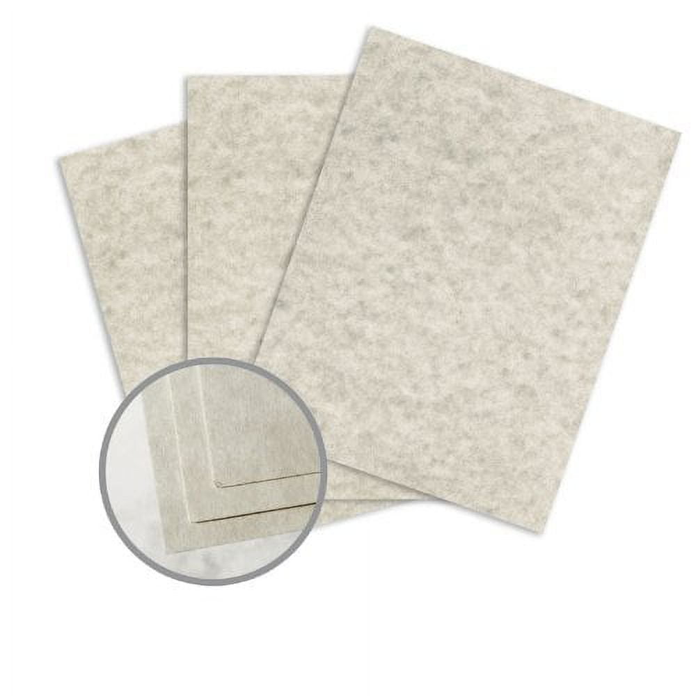 Astroparche Gray Card Stock - 8 1/2 x 11 in 65 lb Cover Vellum 30% Recycled 250 per Package