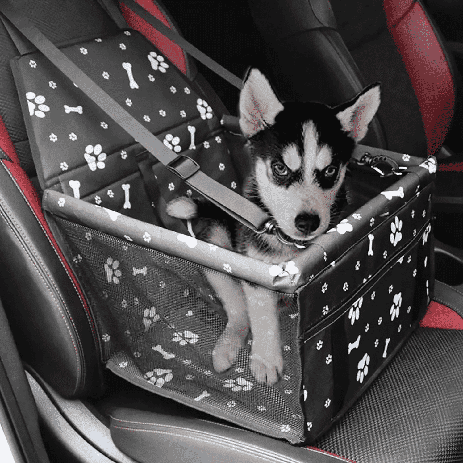 Asunby Foldable Dog Car Seat, Waterproof Dog Car Booster Seats Portable Pet Booster Travel Safety Protector for S/m Dogs, Puppies, Bones & Footprints Black