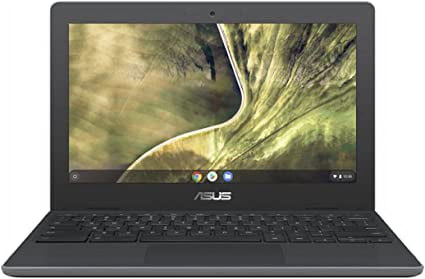 Asus Chromebook C204MA 11.6