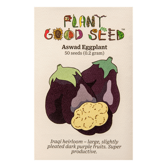 Aswad Eggplant Seeds