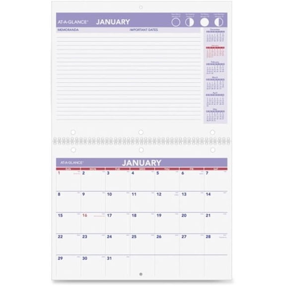 At-A-Glance AAGPM17028 Plan-A-Month Wall Calendar