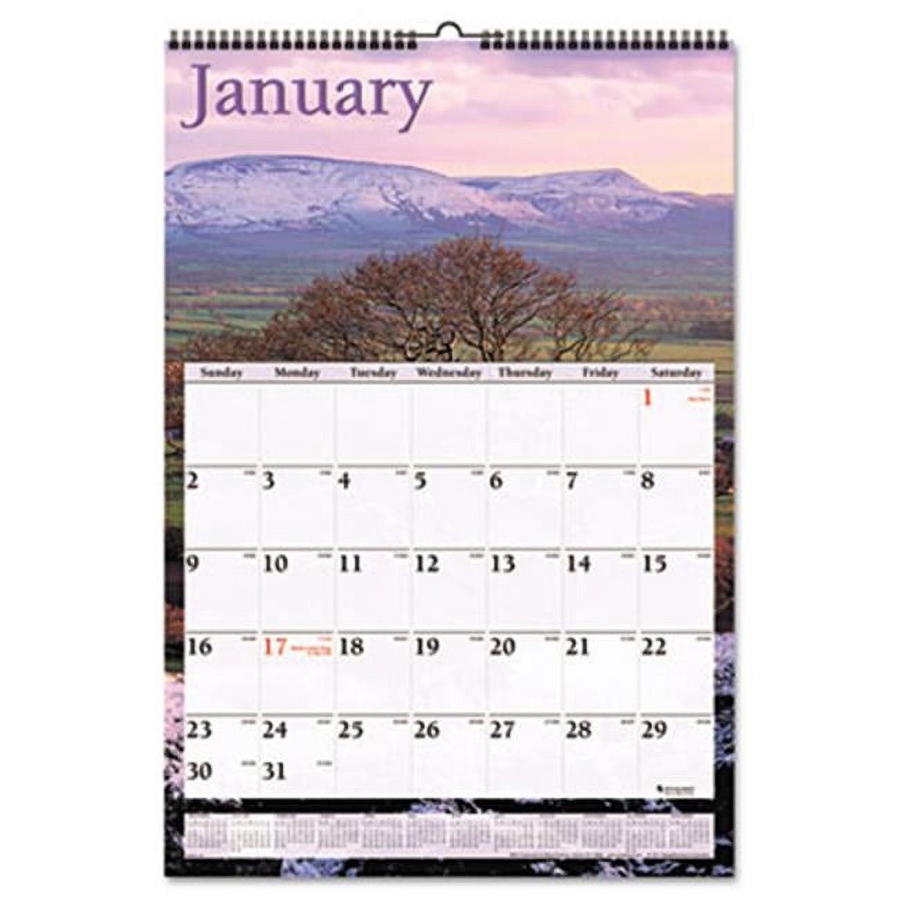 At-A-Glance DMW20028 Full-Color Scenic Photographic Monthly Wall Calendar  12 x 17 - image 1 of 1