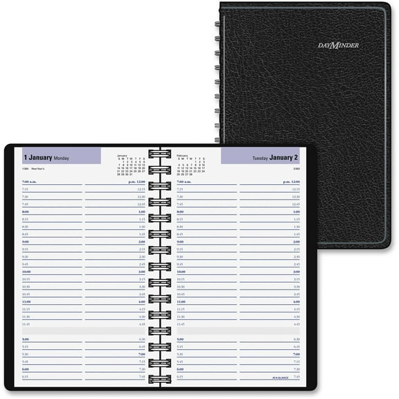 At-A-Glance DayMinder Daily Appointment Book