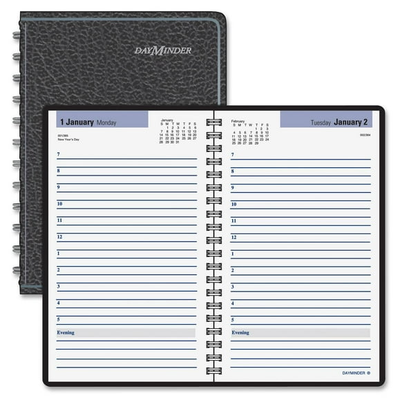 At-A-Glance DayMinder Daily Appointment Book