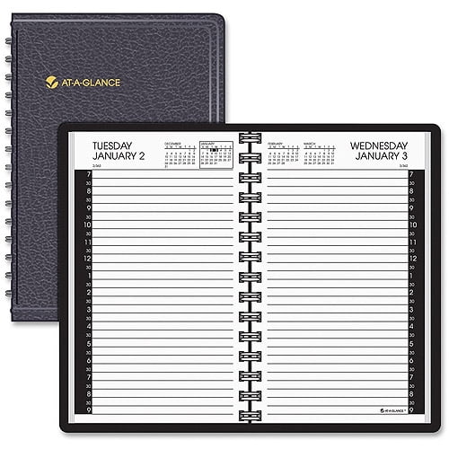 At-A-Glance Professional Daily Appointment Book - Walmart.com