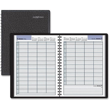 At-A-Glance Professional Daily Appointment Book