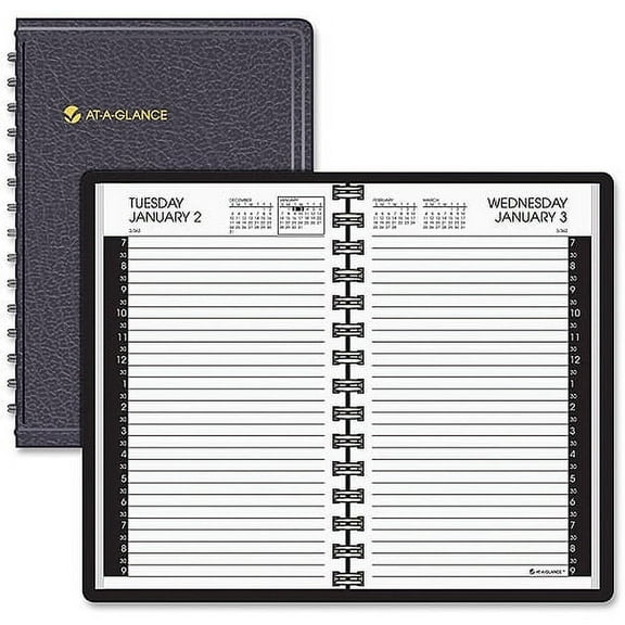 At-A-Glance Professional Daily Appointment Book