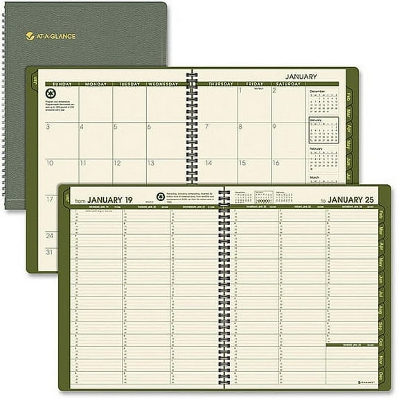 At-A-Glance Professional Weekly/Monthly Appointment Books