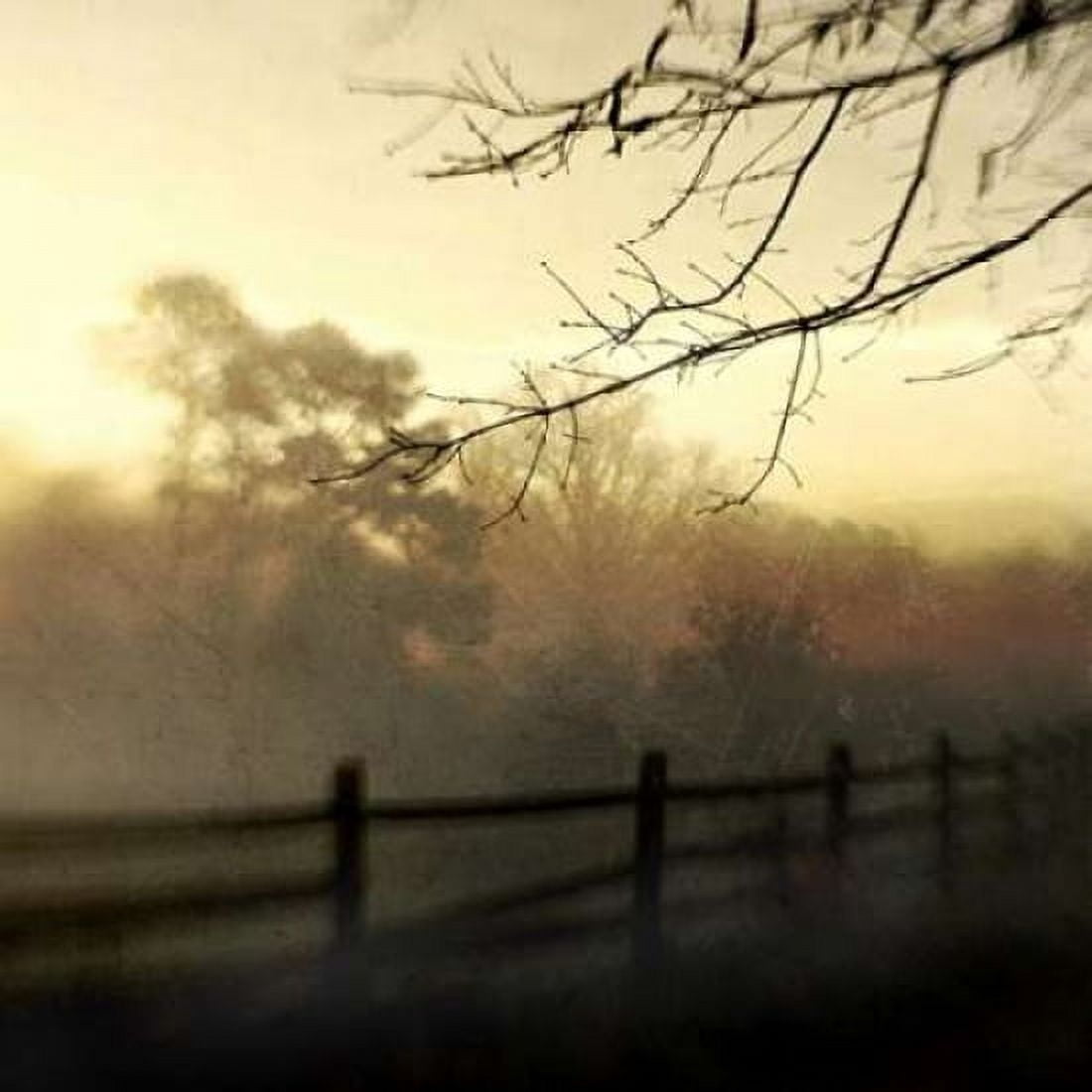 At Dawn Canvas Art - Dawn D Hanna (24 x 24)