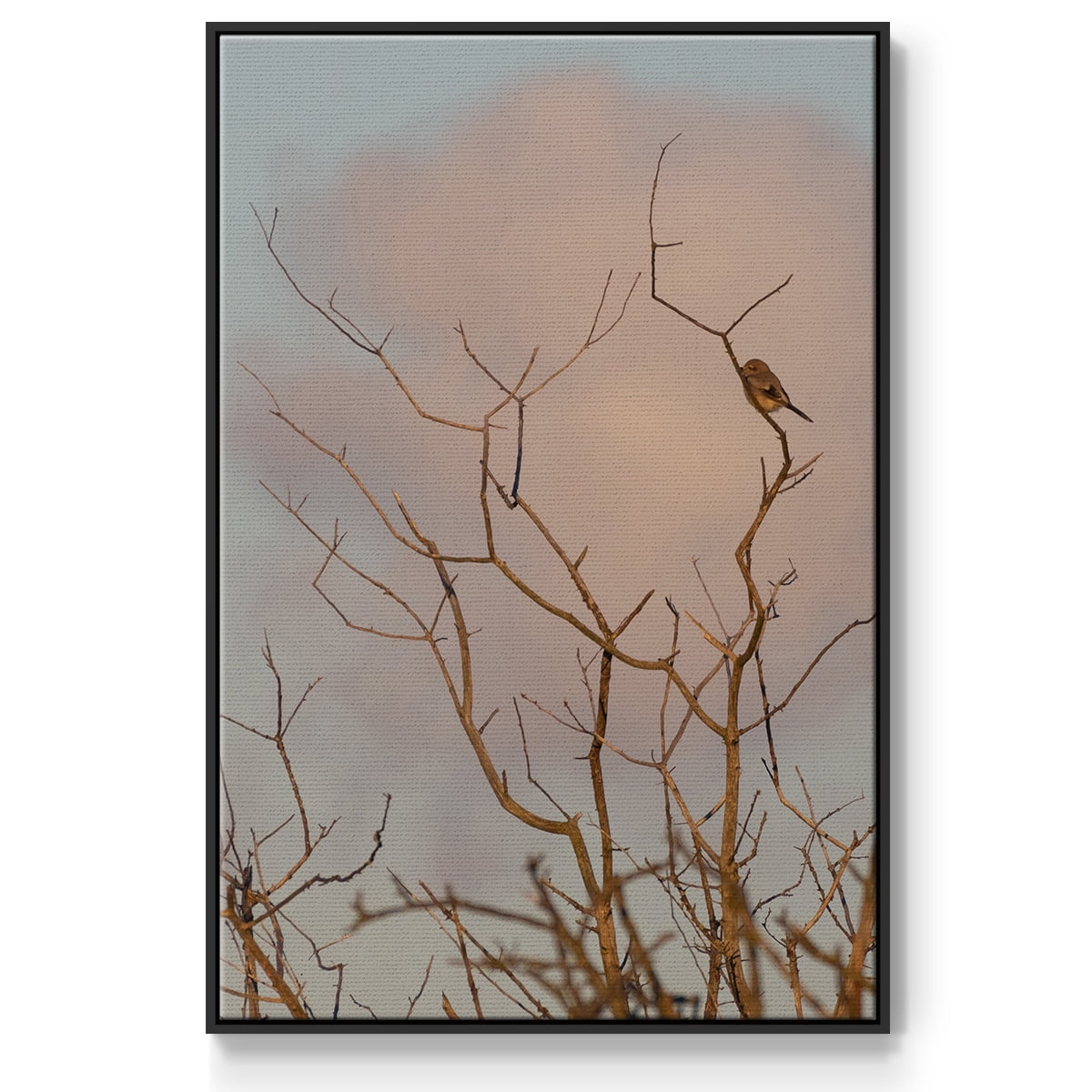 At Dawn Framed Premium Gallery Wrapped Canvas - Ready to Hang