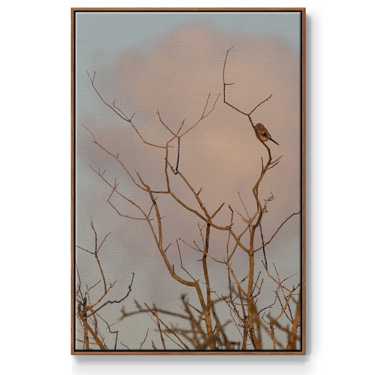 At Dawn Framed Premium Gallery Wrapped Canvas - Ready to Hang