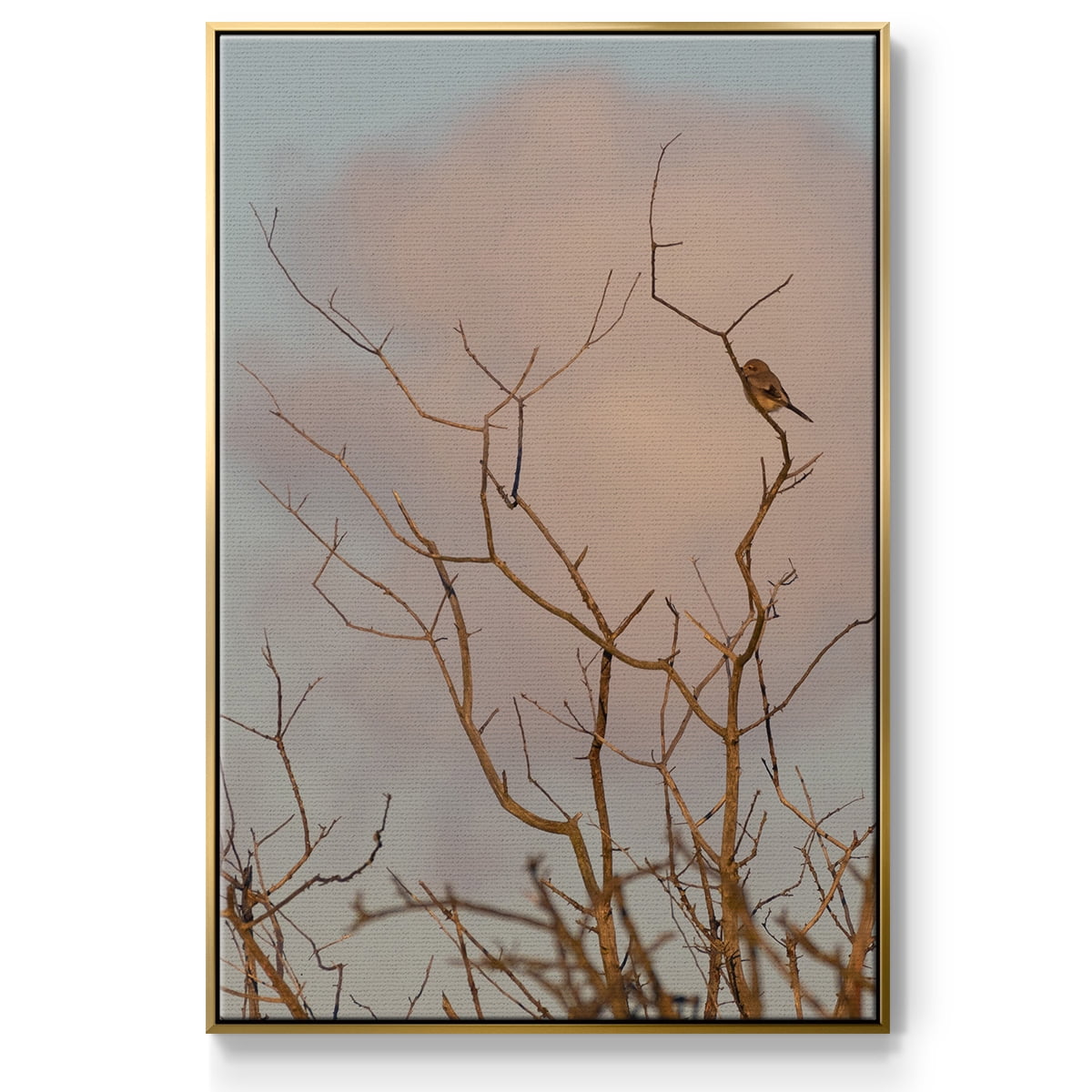 At Dawn Framed Premium Gallery Wrapped Canvas - Ready to Hang