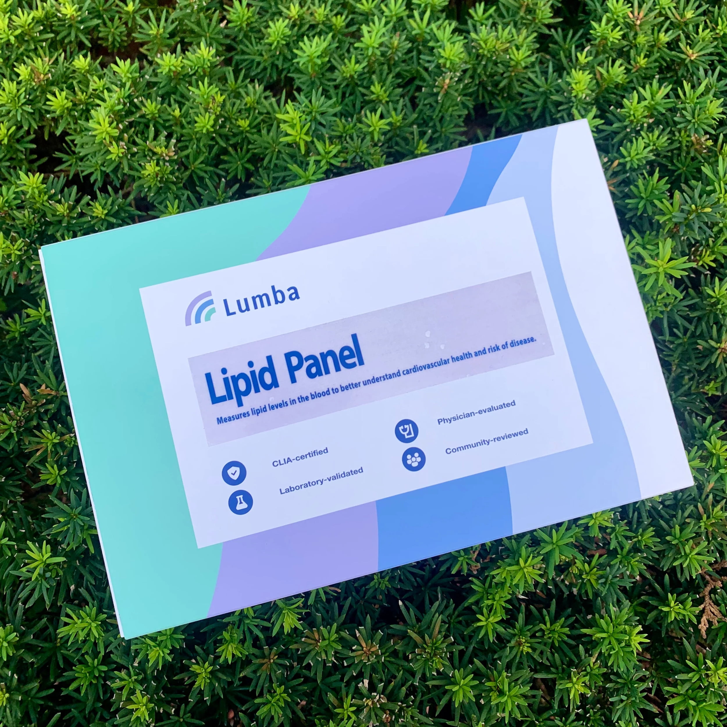 AtHome Lipid/Cholesterol Test Kit