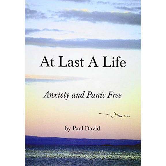 At Last a Life by Paul David (Paperback), English