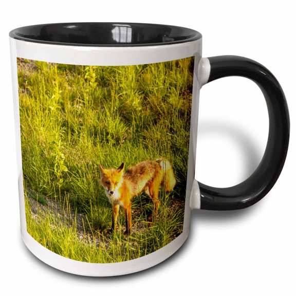 3drose, at Midway Lake in the Tetlin Nwr, Alaska. Inquisitive Red Fox., 11oz Two-tone Black Mug