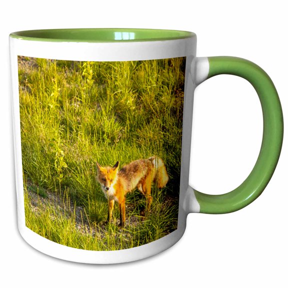 3drose, at Midway Lake in the Tetlin Nwr, Alaska. Inquisitive Red Fox., 11oz Two-tone Green Mug