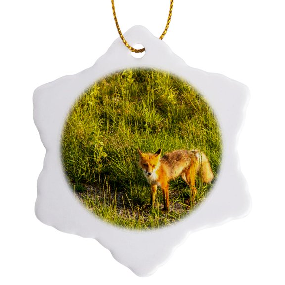 3drose, at Midway Lake in the Tetlin Nwr, Alaska. Inquisitive Red Fox., 3 inch Snowflake Porcelain Ornament