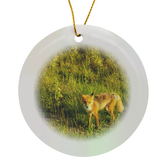 3drose, at Midway Lake in the Tetlin Nwr, Alaska. Inquisitive Red Fox., Circle Porcelain Ornament