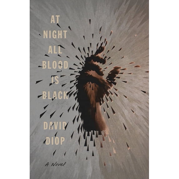At Night All Blood Is Black : A Novel (Hardcover)