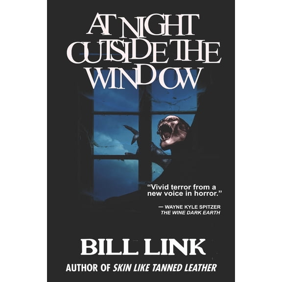 At Night Outside the Window (Paperback)
