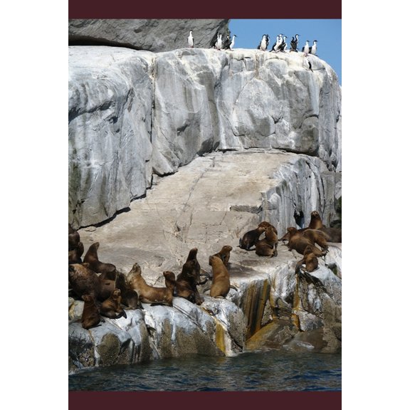 At the Edge (Paperback)