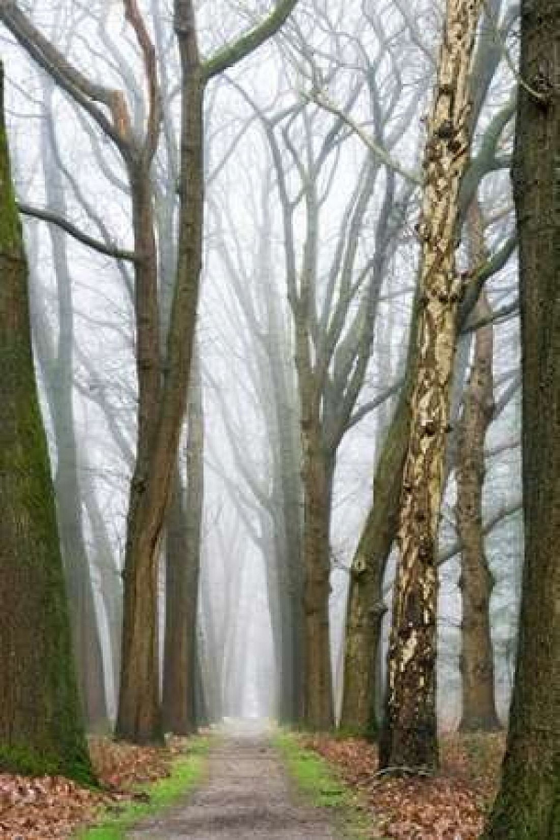 At the End You Will Find a New Beginning Canvas Art - Lars Van de Goor (12 x 18)