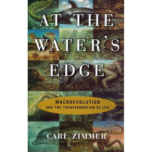Pre-Owned At the Water's Edge : Macroevolution and the Transformation of Life (Hardcover) 0684834901 9780684834900