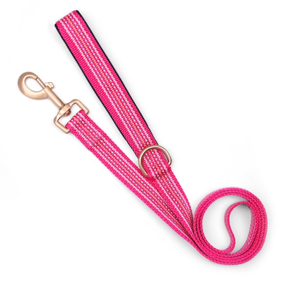 AtPet 4 Ft Soft Nylon Adjustable Reflective Dog Leashes with Heavy Duty Metal D Ring Tangle Free, Medium, Pink