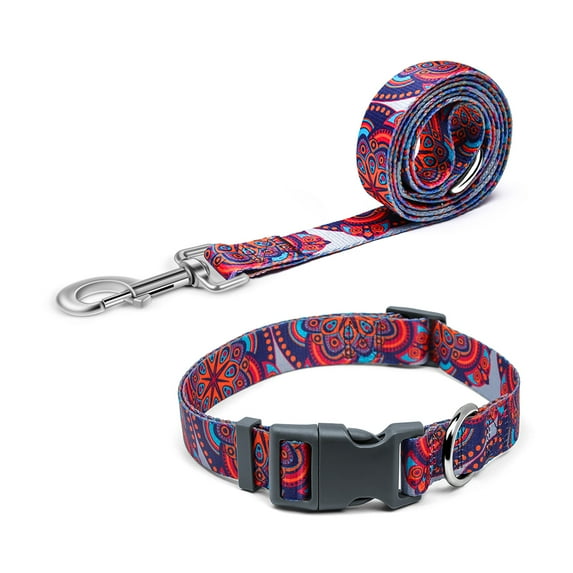 AtPet 4 feet Vibrant Pattern Designed Dog Leash for Walking Training Dogs, Soft, Lightweight, Ethnic Tend, Medium
