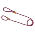 thumbnail image 1 of AtPet Dog Slip Rope Leash – 5ft Long Comfort Nylon Heavy Duty Dog Leash – Durable Dog Leash With Adjustable Slipknot To Fit All Your Dog Breeds,Purple, 1 of 4