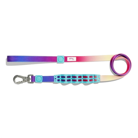 AtPet Shock Absorbing Dog Leash, L, (3 Colors, S/L)