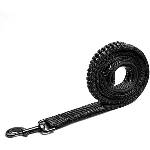 AtPet Shock Absorbing Dog Leash