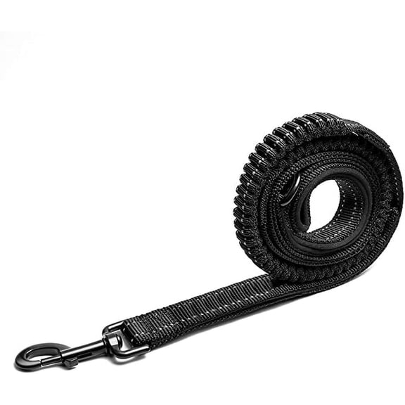 AtPet Shock Absorbing Dog Leash
