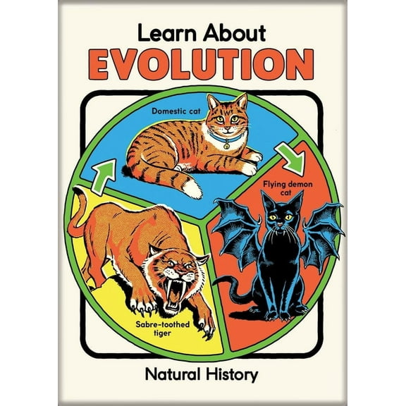 Ata-Boy Steven Rhodes Learn About Evolution 2.5" x 3.5" Magnet for Refrigerators and Lockers